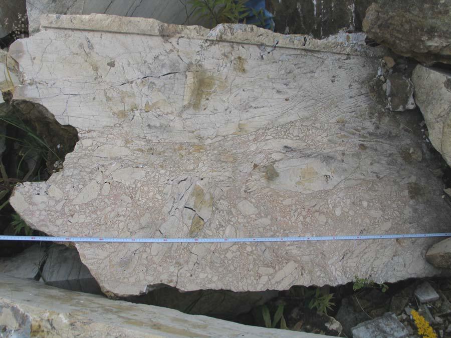 Marmury dolomityczne brekcja powstała z