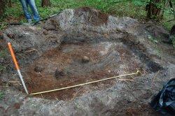 Trupie pole, dół śmierci kryjący szczątki nie mniej niż 231 kobiet i dzieci przed wydobyciem (2011) Trupie pole,