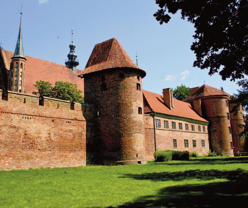 W Olsztynie Mikołaj zainteresował się także zagadnieniami ekonomicznymi, czego wynikiem był projekt reformy walutowej, a podczas wojny polsko-krzyżackiej (1520 21) szykował do obrony tutejszy zamek.
