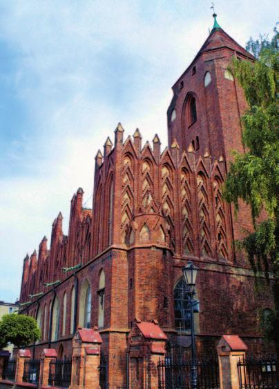 Studiując w Padwie, astronom nauczył się greki, potrzebnej mu do czytania filozoficznych dzieł Euklidesa i Ptolemeusza.