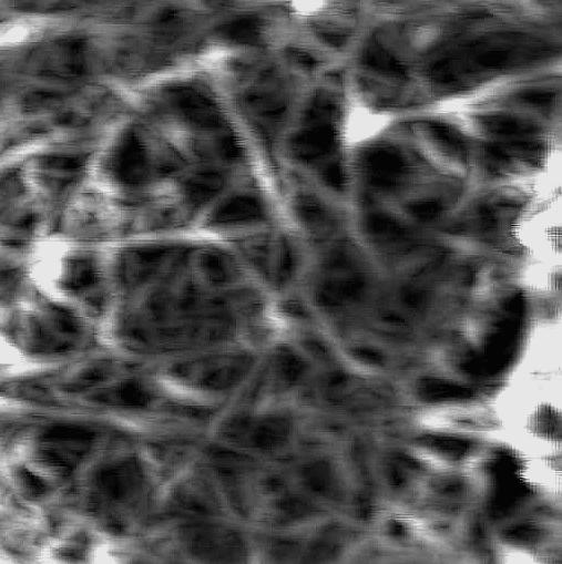 elected results ingle-wall carbon nanotubes (WCTs) supercapacitors (1-Pyrenebutyric acid)-modified single-wall carbon nanotube pyr-wct HC HC HC AFM images of