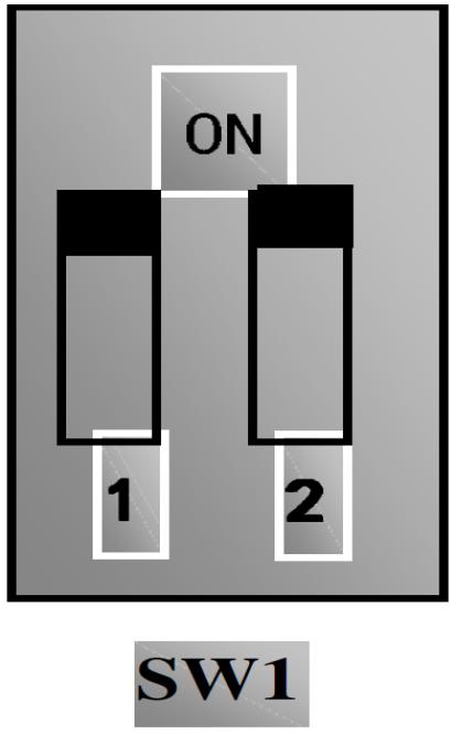 pozycji górnej OFF switch w pozycji dolnej Kodowanie switcha 1 Wyjście AO1 Kod F423 0 1 2 Przełącznik J5 V 0~5V 0~10V zarezerwowany I zarezerwowany 0~20mA 4~20mA Parametry analogowych wejść/wyjść: