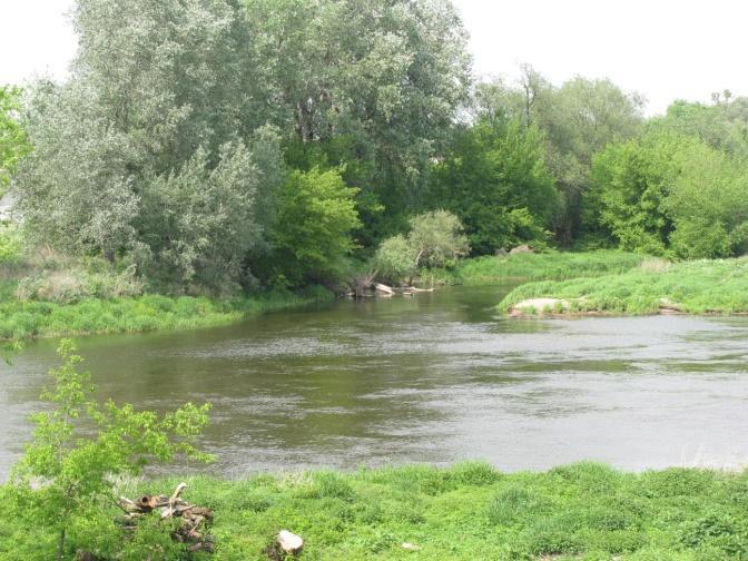 uzyskały potencjał poniżej dobrego, elementy