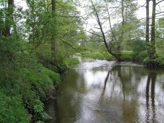 9 Szeroka dolina rzeki Noteć, w sąsiedztwie mostu kolejowego (km 79,387) w