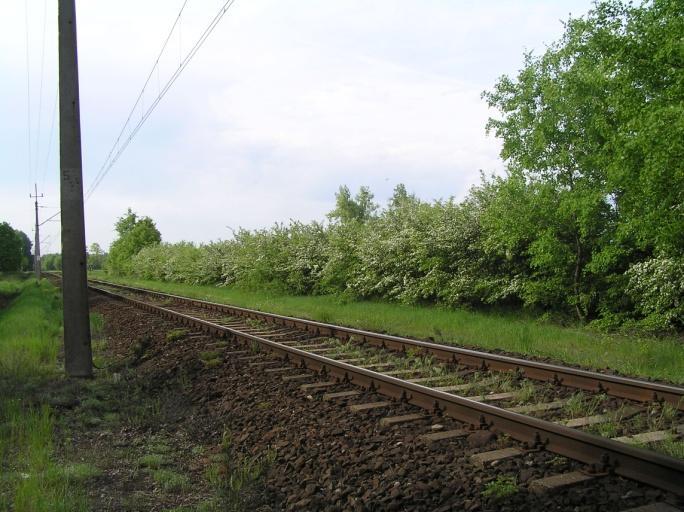 białe) w otoczeniu przystanek osobowy Sokołowo Budzyńskie (km