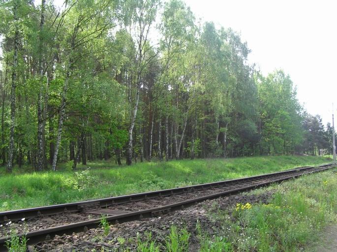 przyległych terenów pól uprawnych (ok.