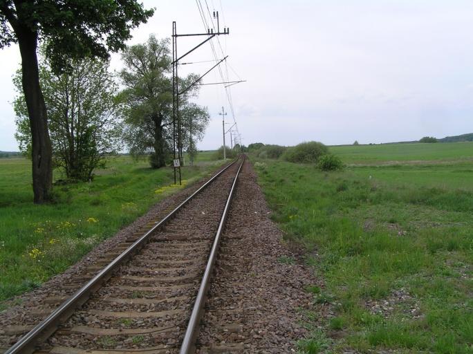 5.32 Przykład łąk pozostających w intensywnej uprawie rolnej - okolice Tarnowa (km 49,3) Fot. 5.