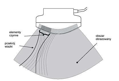Sondy ultradźwiękowe Sonda liniowa sterowana fazowo Sonda wieloelementowa liniowa Skanowanie odbywa się przez