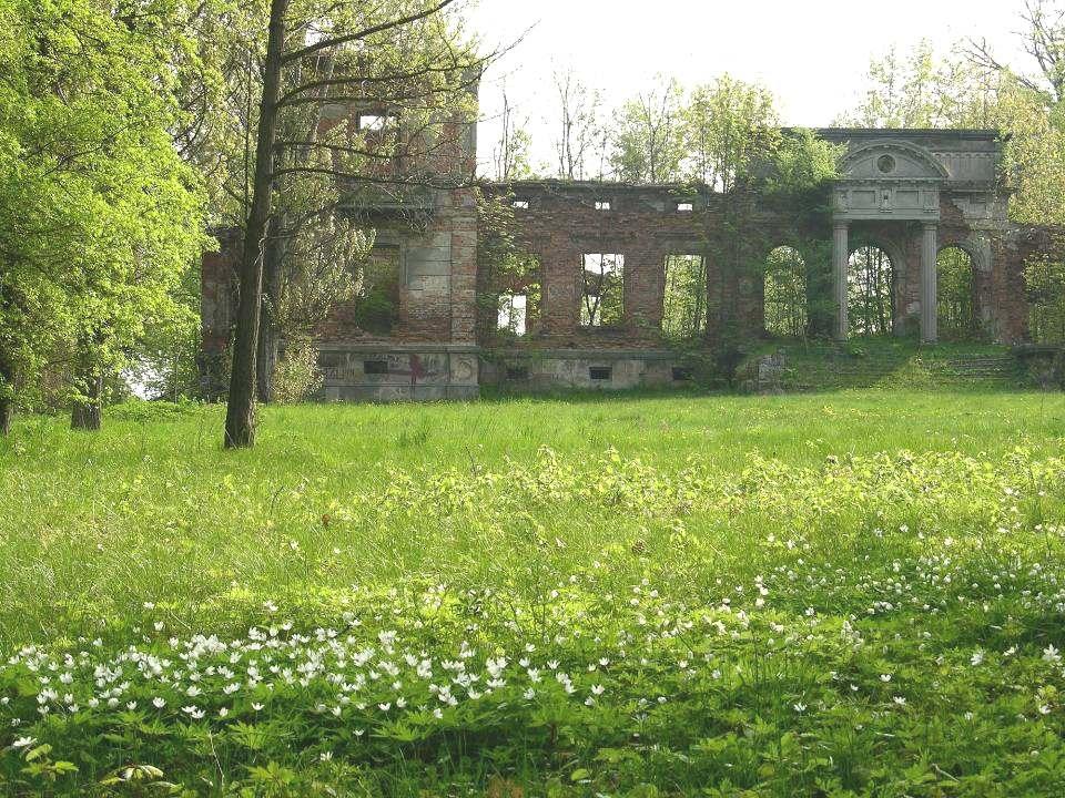Przyrodnicza ścieżka dydaktyczna klubu 4H Lasocin Lasocin szkoła Ruiny Pałacu Niemojewskich Rezerwat leśny Ewelinów Stawy