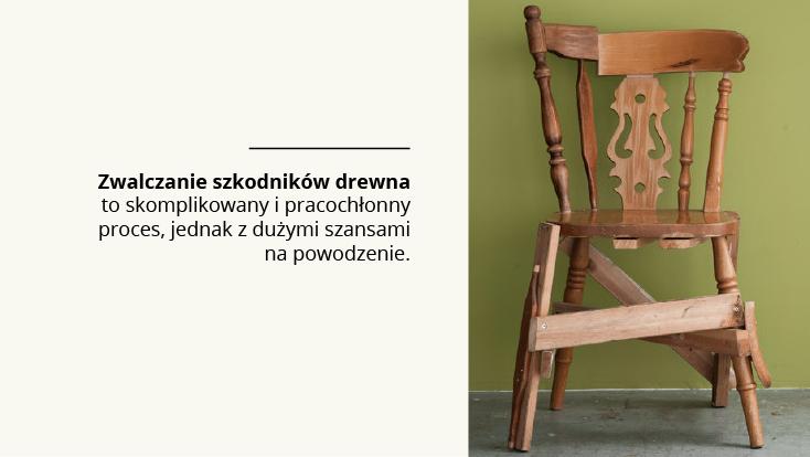 Korniki jak się pozbyć korników i innych drewnojadów? Trzeba przyznać, że zwalczanie korników i innych owadów jest trudne i wymaga zaangażowania.