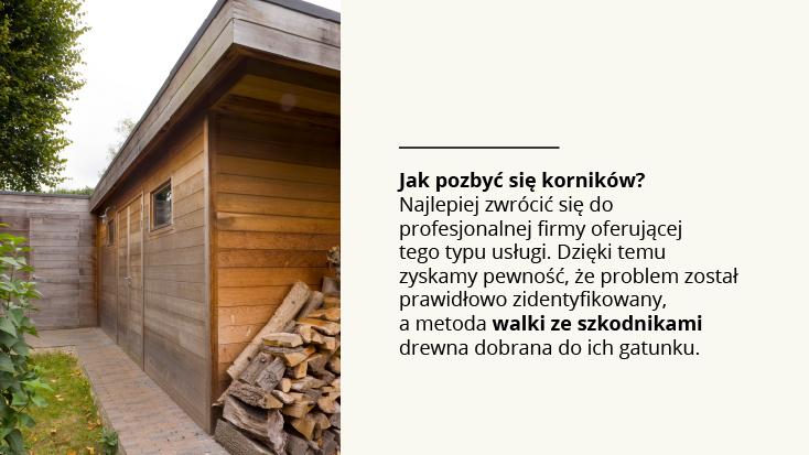 Jak zapobiegać pojawieniu się korników? Z kolei my, użytkownicy, powinniśmy zainteresować się profilaktyką.