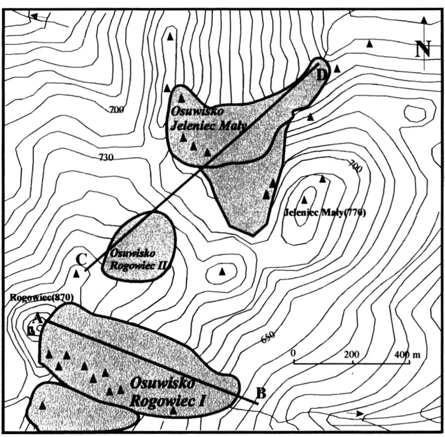 Ryc. 7 Lokalizacja zespołu osuwisk strukturalnych na grzbiecie Rogowiec Jeleniec Mały. Zaznaczono położenie linii profilowych przez osuwiska (ryc. 8).