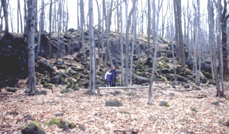 Ryc. 3 Progi skalne (klify mrozowe) o krętym przebiegu pod zach. kulminacją Muchowskich Wzgórz, poniżej spłaszczenie terasy krioplanacyjnej (fot. P. Migoń).