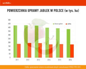 .pl https://www..pl Powierzchnia upraw jabłek w Polsce (w tys. ha). Niepokojące spożycie jabłek? Niepokojący jest też fakt, że nie rośnie krajowe spożycie jabłek, a np.