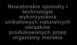 środowisku morskim i przybrzeżnym ISP 1 Technologie offshore i portowologistyczne Nowatorskie sposoby i technologie wykorzystania unikatowych