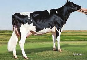 2% 45 kgp 128 WYKRES LINEARNY 99% Przewaga mleka 1321 lbs Przewaga białka 42 lbs.1% Przewaga tłuszczu 77 lbs.1% 1834 % 335 95% 1.81 1.9 1.43 1.54-1.