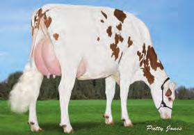 2-Sep-12 aaa: 213 59 zł Matka: RUGG-DOC OBSERVER CAYLOR-ET VG-86 4-3 2X 297D 13,381 kgm 3.4% 46 kgf 2.9% 395 kgp TPI 2189 NM$ 336 DWP$ 55 Średnia córek 13582 kgm 3.6% 489 kgf 3.