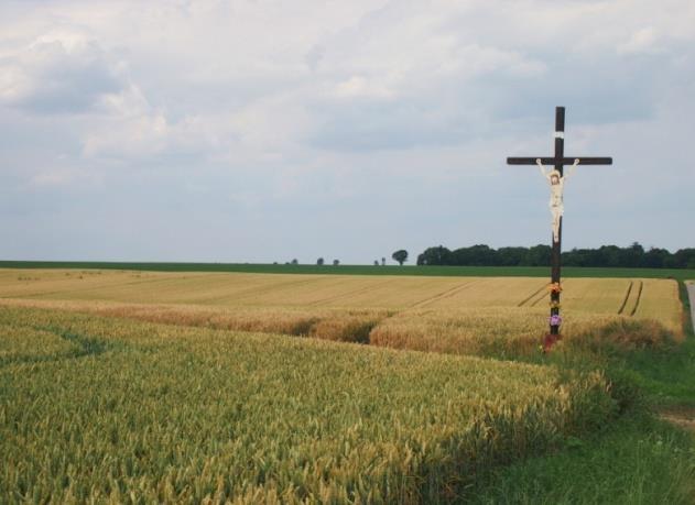 Okolice wsi Dzielawy i Polskiej Cerekwi Krzyż kamienny