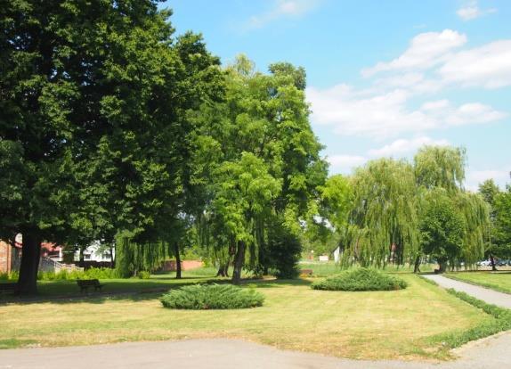 Są to: dwie lipy znajdujące się w parku krajobrazowym przy pałacu w Zakrzowie świerk rosnący w kompleksie leśnym położonym na gruntach