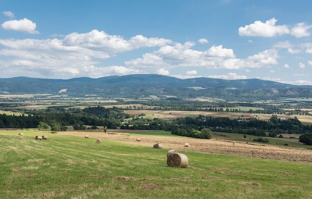 n.p.m.: najwyższajest Śnieżka (1602 m n.p.m.), leżącaw podprowincji sudeckiej.