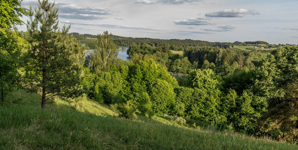 Klimat i roślinność: leży we wschodnioeuropejskim sektorze kontynentalnym, należą do strefy subborealnych lasów mieszanych; Rzeźba terenu: w środkowej części tej prowincji, leżącej