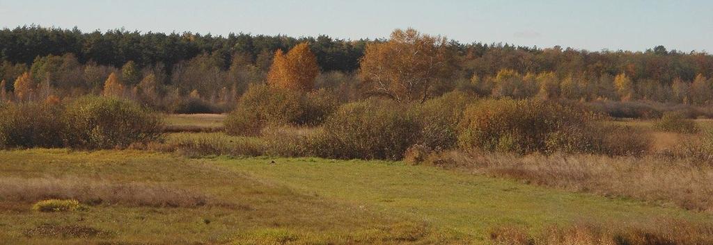 Geologia i geomorfologia oraz gleby i roślinność: brak tu większych śladów zlodowacenia, powszechnych w niemal całej Polsce, w podłożu skalnym występują krasowiejące margle kredowe, na nich