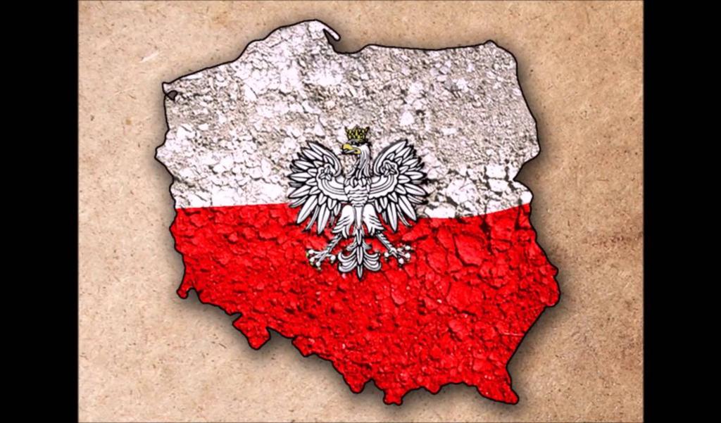 www.polskatimes.pl Polska The Times Numer 4 10/2018 Strona 3 Co to jest patriotyzm? Kto to jest patriota?