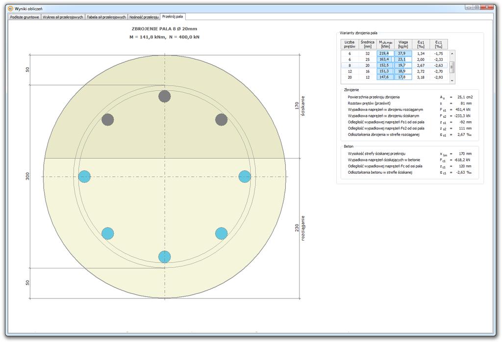 Przekrój pala wraz z wynikami obliczeń