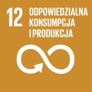 42 Zrównoważony rozwój STRATEGIA CSR GRUPY CCC 2017 2019 REALIZACJA GLOBALNYCH CELÓW ZRÓWNOWAŻONEGO ROZWOJU (SDG S) PRZYJĘTYCH PRZEZ ONZ #Idę po więcej Obietnica marki