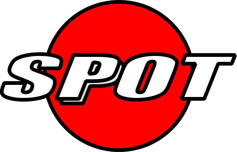 Wstęp Oficjalne logo J. Skubalski 1, A. Polański 2, T. Piotrowski 3, P.