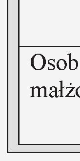 SPORZĄDZENIE AKTU