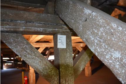 Fotografia nr 60/6pn - W obrębie słupa nr 6 pn belki konstrukcyjne więźby dachowej porażone są przez grzyby