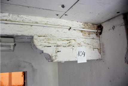 Fotografia nr 104 - Drewniana belka stropowa porażona przez owada spuszczela