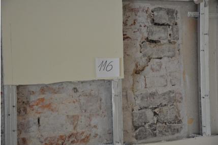 Fotografia nr 116 - Na powierzchni ściany występują zaczątki powierzchniowego zagrzybienia, wywołanego przez grzyby domowe.