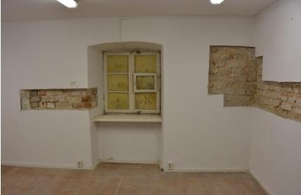Fotografia nr 117 - Na powierzchni ściany występują zaczątki powierzchniowego zagrzybienia, wywołanego przez grzyby domowe.