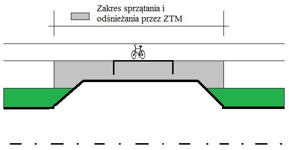 Zatoka typowa 1.