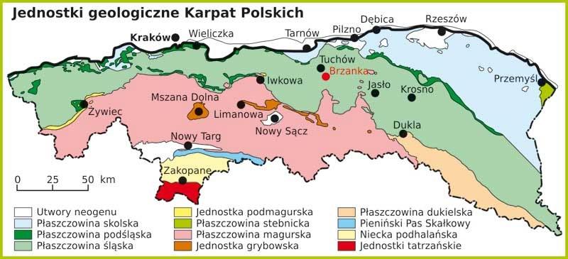 Fałdowanie Karpat przyczyniło się do powstania dwóch głównych jednostek geologicznych: Karpat Wewnętrznych obejmujących Tatry, Podhale i Pieniny, zbudowanych ze sfałdowanych i przemieszczonych serii