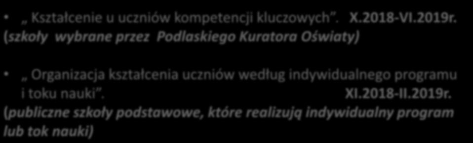 Zakres monitorowania wskazany przez Ministra Edukacji Narodowej Kształcenie u uczniów kompetencji kluczowych. X.2018-VI.2019r.