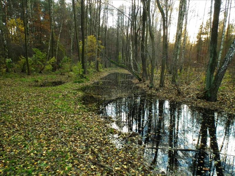 Dziennik Urzędowy Województwa Łódzkiego 6 Poz. 5661 Fot. 1.