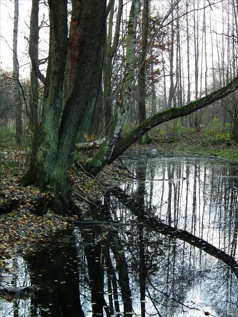 Dziennik Urzędowy Województwa Łódzkiego 9 Poz. 5661 Fot. 3.