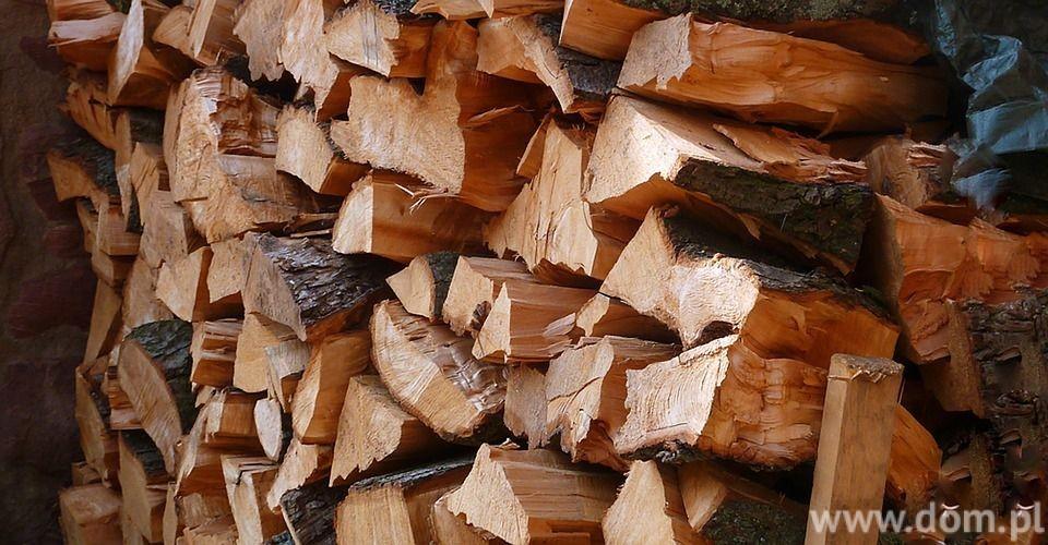 Marzec to najlepszy czas na zakup drewna opałowego. fot. Pixabay Jakie drewno najlepiej wybrać?
