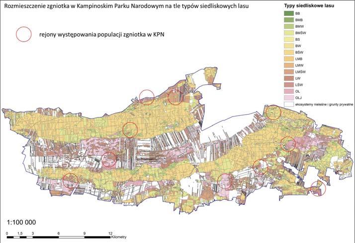 Wyniki Rozmieszczenie i preferencje siedliskowe W trakcie dwuletnich badań odnaleziono 10 osobnych populacji zgniotka cynobrowego na obszarze parku (ryc. 1).