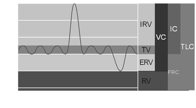 Parametry charakteryzujące UO Objętość powietrza wymieniana podczas normalnego oddychania: TV (tidal volume) ~ 500 ml Dodatkowa objętość