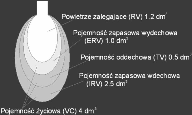 reserve volume) ~ 1000ml Objętość płuc po wytężonym wydechu, objętość zalegająca: RV (residual volume) ~ 1200 ml Całkowita objętość płuc