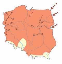 obszar zasiedlony i prawdopodobnie zasiedlony w wyniku inwazji wyróżniający się zachodniopomorski rejon hodowli norek i najbardziej prawdopodobne kierunki rozprzestrzeniania Ryc. 2.