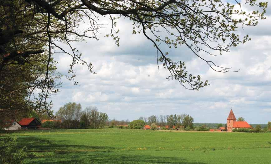 Część I Zbigniew Myczkowski Rewaloryzacja krajobrazu kulturowego Fot. 4. Historyczny krajobraz wiejski. Panorama wsi Dobry w okolicach Pasłęka (fot. I. Liżewska 2006).