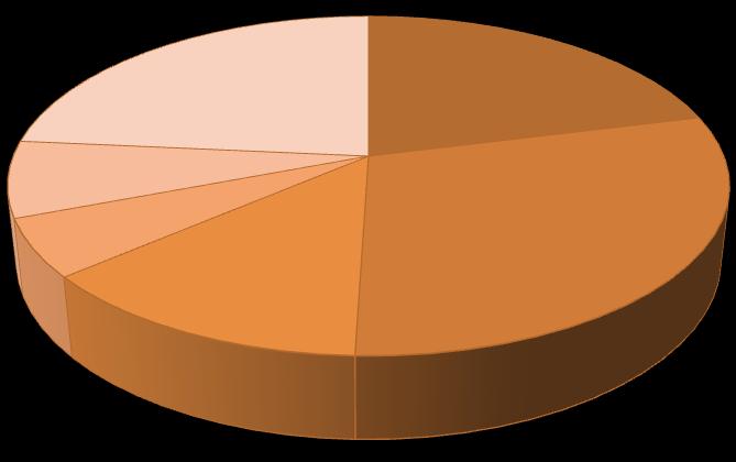 4. Wskazanie akcjonariuszy posiadających bezpośrednio lub pośrednio znaczne pakiety akcji.