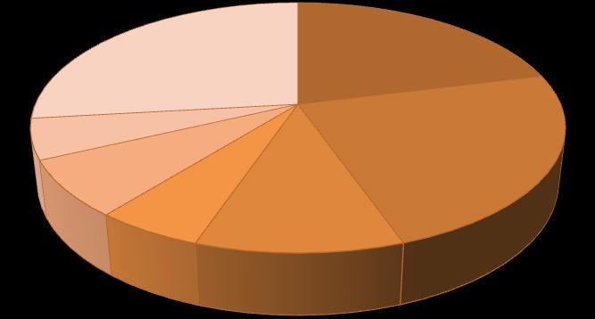 Udział w ogólnej liczbie głosów na Akcjonariuszy 26,81% 5,22% 7,26% 5,50% 10,57% 21,09% 23,55% Dariusz Miłek Luxprofi S.a.r.l. Podmiot zależny od p.