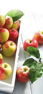 Dzięki wysokiej kwasowości można stwierdzić, iż jabłka łąckie mają tzw. górską zieloną nutkę, czyli są bardziej wyraziste w smaku, kwaśniejsze oraz bardziej aromatyczne.