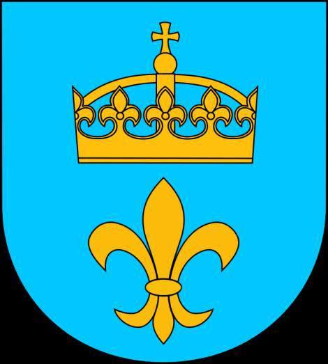 Gminny Program